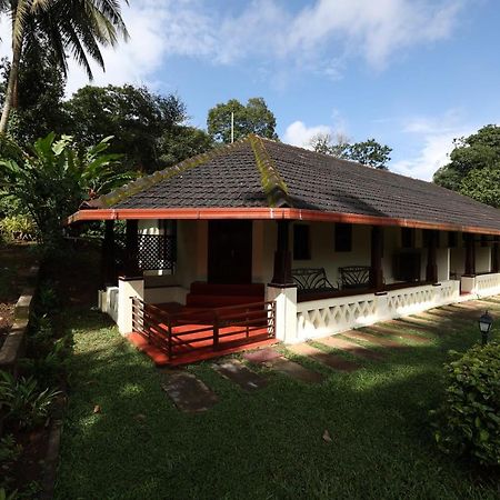 Avadale Coorg - Stag Groups Not Allowed Ammatti Exterior photo