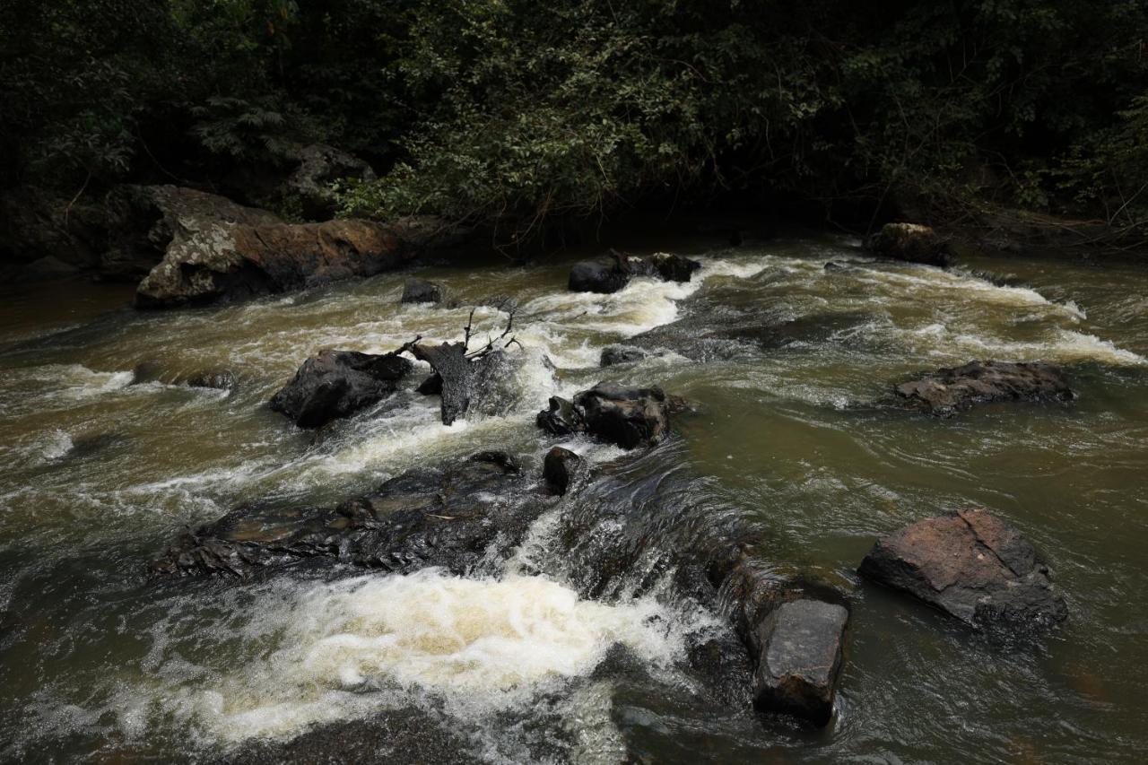 Avadale Coorg - Stag Groups Not Allowed Ammatti Exterior photo