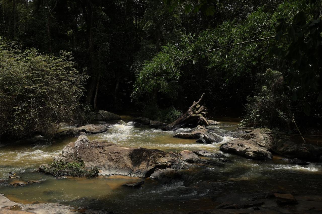 Avadale Coorg - Stag Groups Not Allowed Ammatti Exterior photo