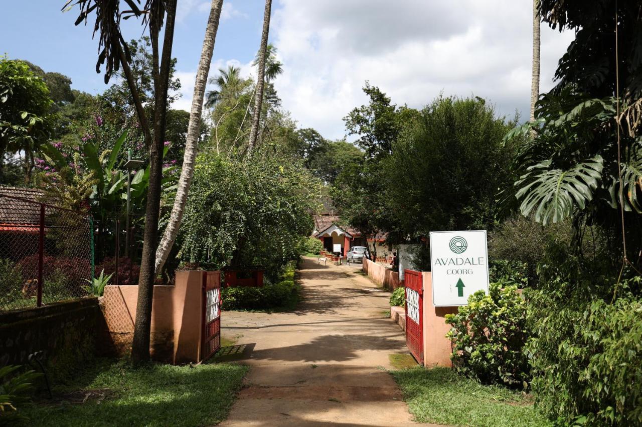 Avadale Coorg - Stag Groups Not Allowed Ammatti Exterior photo