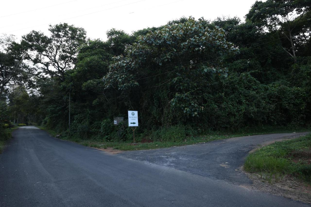 Avadale Coorg - Stag Groups Not Allowed Ammatti Exterior photo