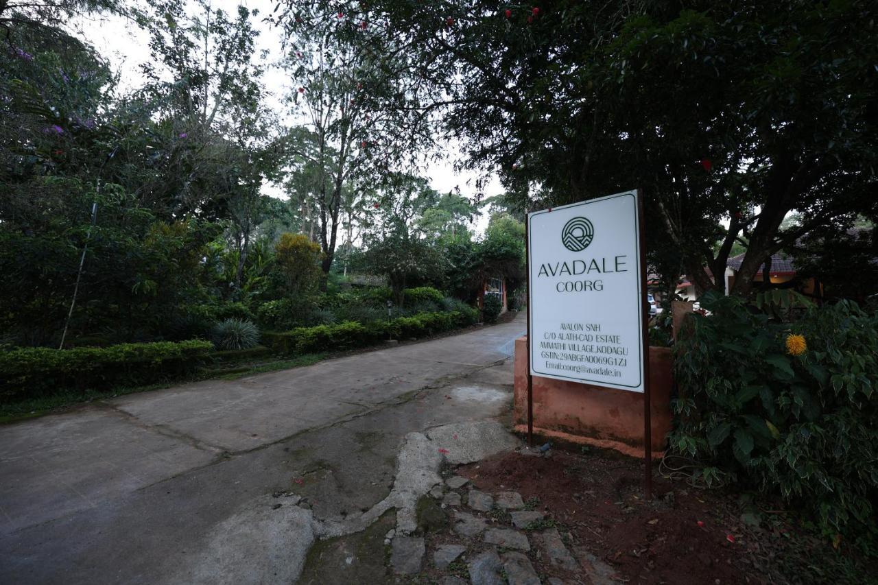 Avadale Coorg - Stag Groups Not Allowed Ammatti Exterior photo