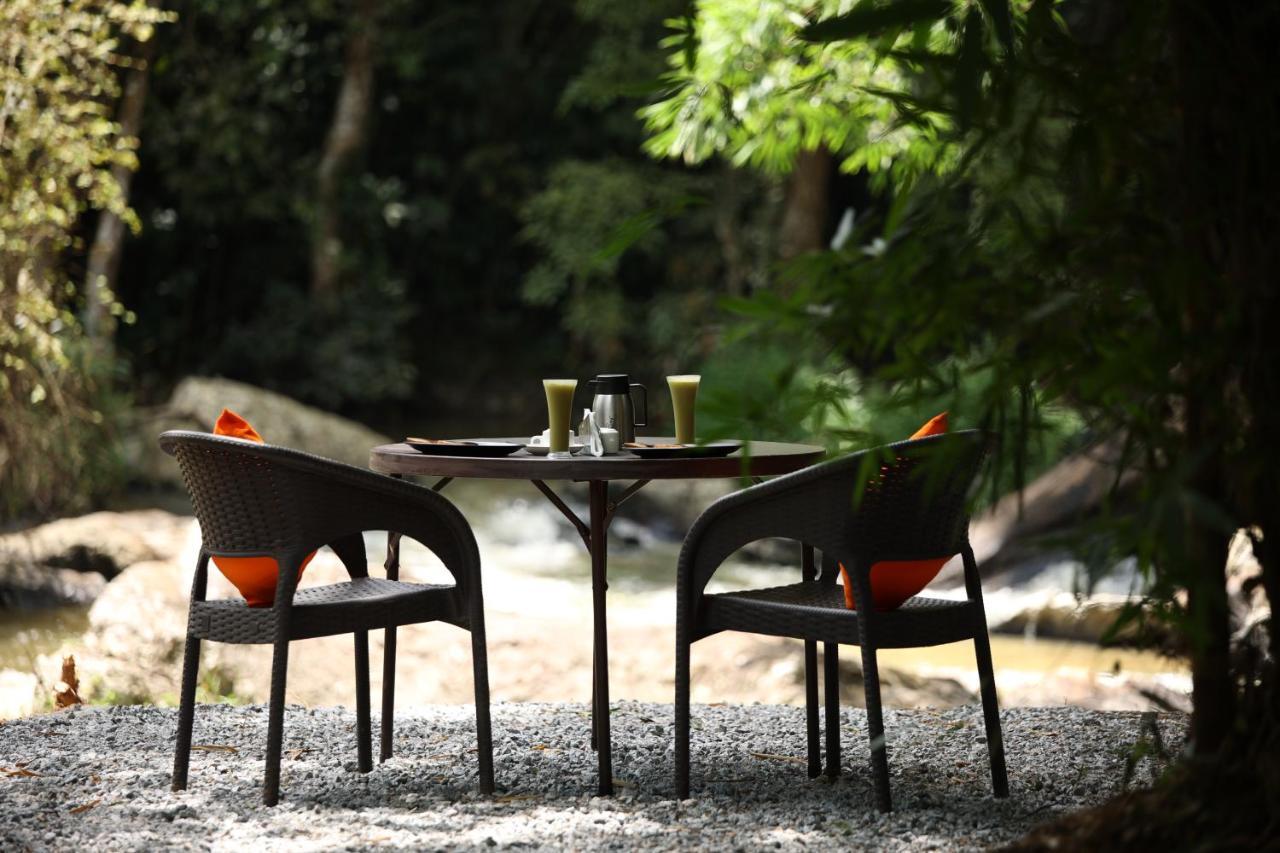 Avadale Coorg - Stag Groups Not Allowed Ammatti Exterior photo