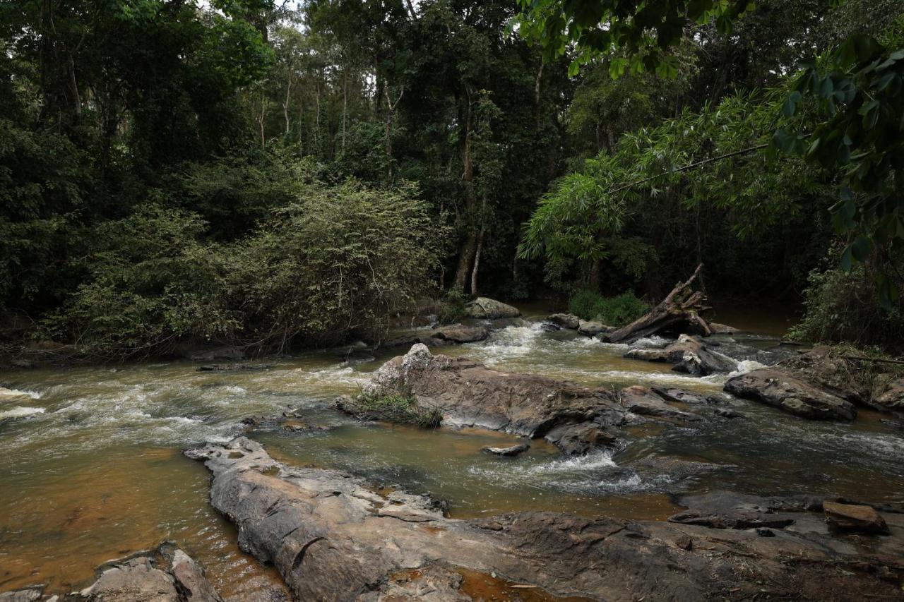 Avadale Coorg - Stag Groups Not Allowed Ammatti Exterior photo